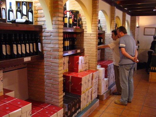 Browsing bodega shop wine in Requena 