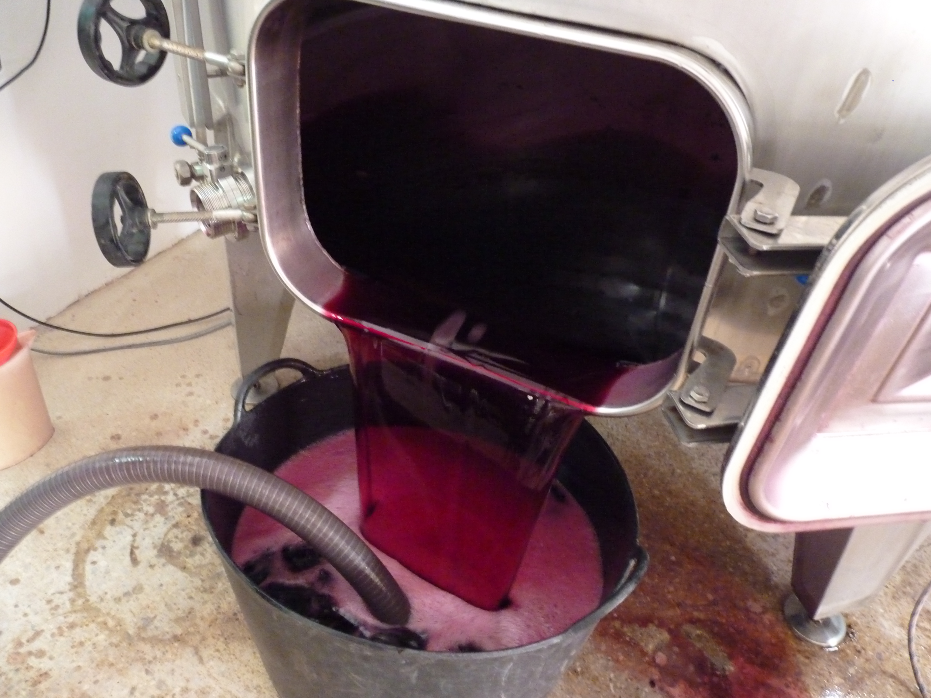 Bobal 2022 wine racking after fermentation