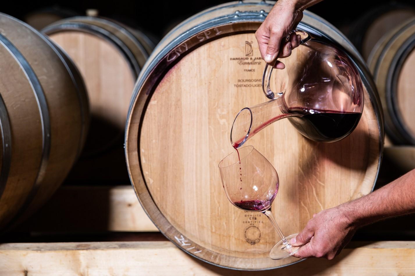 Wine tasting from barrel in Priorat