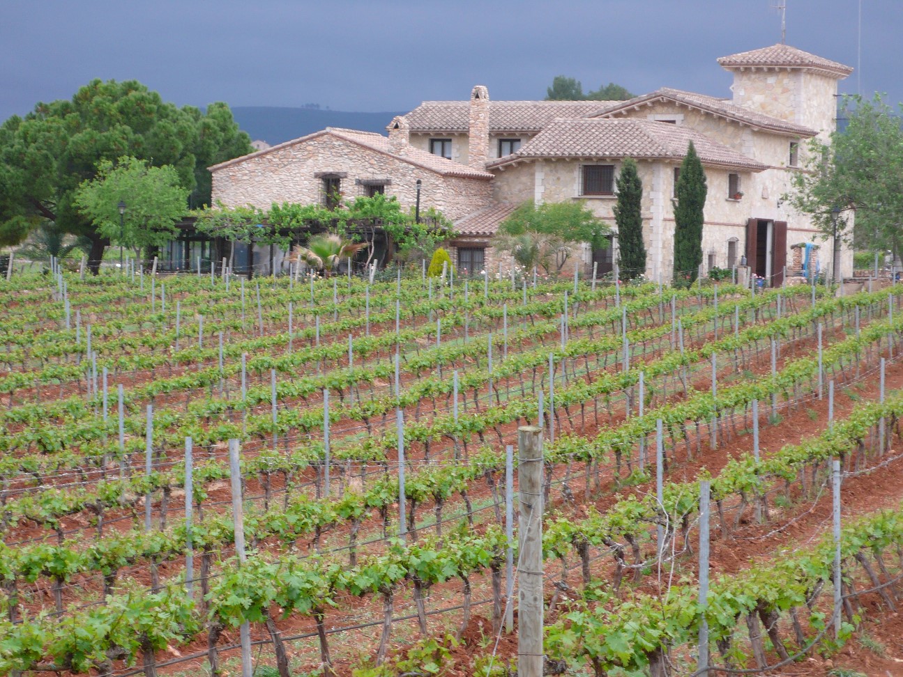 IGT Castellon bodega wine tour 